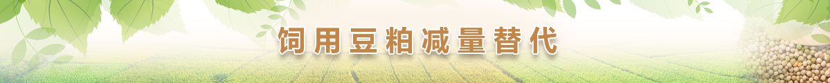 未标题-3.jpg