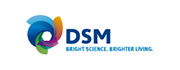 22 DSM帝斯曼.jpg